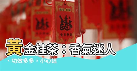 黃金桂禁忌|【黃金桂禁忌】黃金桂的迷人功效與禁忌：養生成效大公開